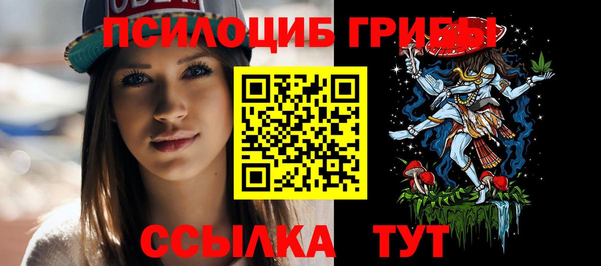 Псилоцибиновые грибы Cubensis  Вход с VPN  Ипатово 