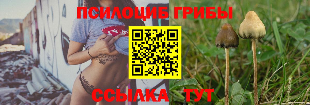Псилоцибиновые грибы MAGIC MUSHROOMS Ипатово